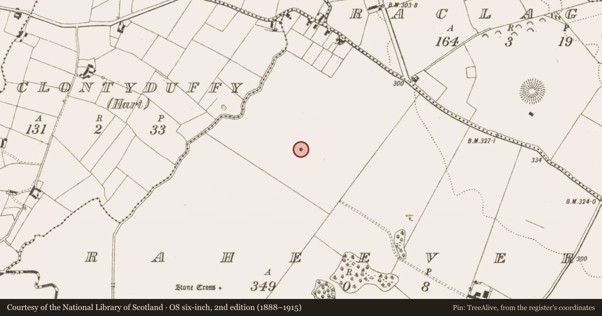Ordnance Survey six-inch map, 2nd edition (1888–1915) covering the location of Ringfort - rath, Raheever, County Cavan, with a pin at the register's coordinates