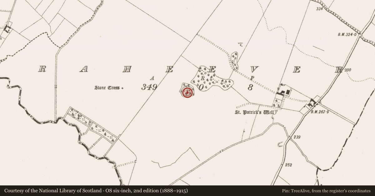 Ordnance Survey six-inch map, 2nd edition (1888–1915) covering the location of Ringfort - rath, Raheever, County Cavan, with a pin at the register's coordinates