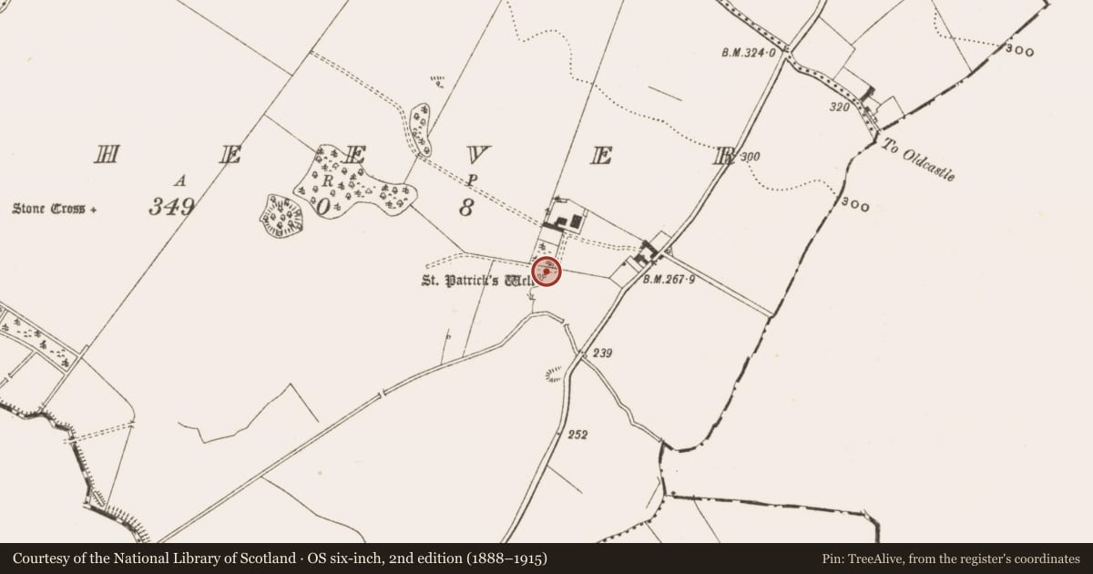 Ordnance Survey six-inch map, 2nd edition (1888–1915) covering the location of Ritual site - holy well, Raheever, County Cavan, with a pin at the register's coordinates