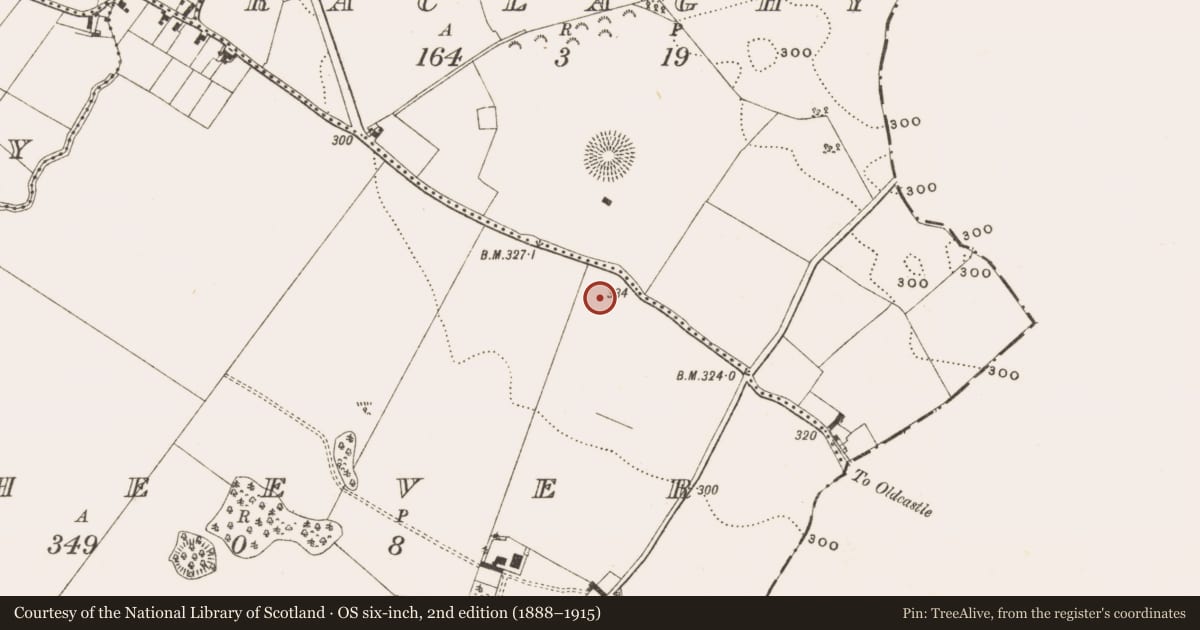Ordnance Survey six-inch map, 2nd edition (1888–1915) covering the location of Ringfort - rath, Raheever, County Cavan, with a pin at the register's coordinates