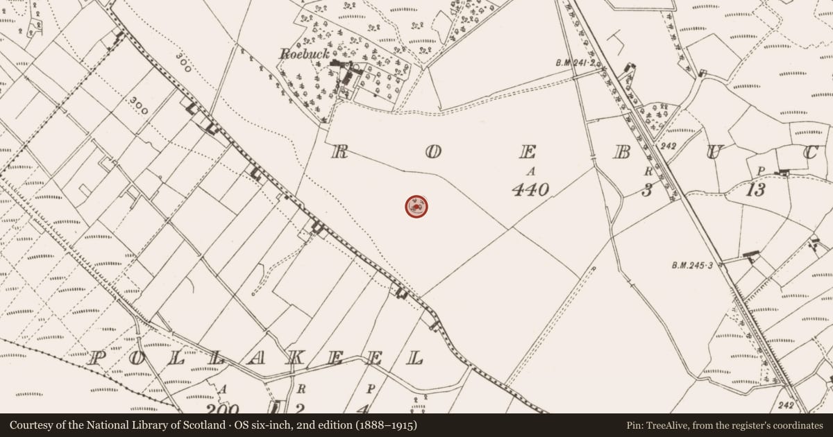 Ordnance Survey six-inch map, 2nd edition (1888–1915) covering the location of Ringfort - rath, Roebuck, County Cavan, with a pin at the register's coordinates