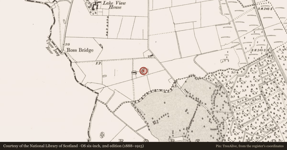 Ordnance Survey six-inch map, 2nd edition (1888–1915) covering the location of Ringfort - rath, Tonagh, County Cavan, with a pin at the register's coordinates