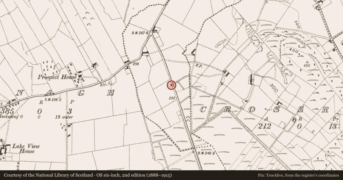Ordnance Survey six-inch map, 2nd edition (1888–1915) covering the location of Burial mound, Aghnaskeagh, County Cavan, with a pin at the register's coordinates