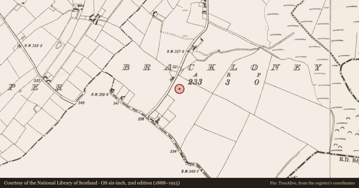 Ordnance Survey six-inch map, 2nd edition (1888–1915) covering the location of Cist, Brackloney, County Cavan, with a pin at the register's coordinates