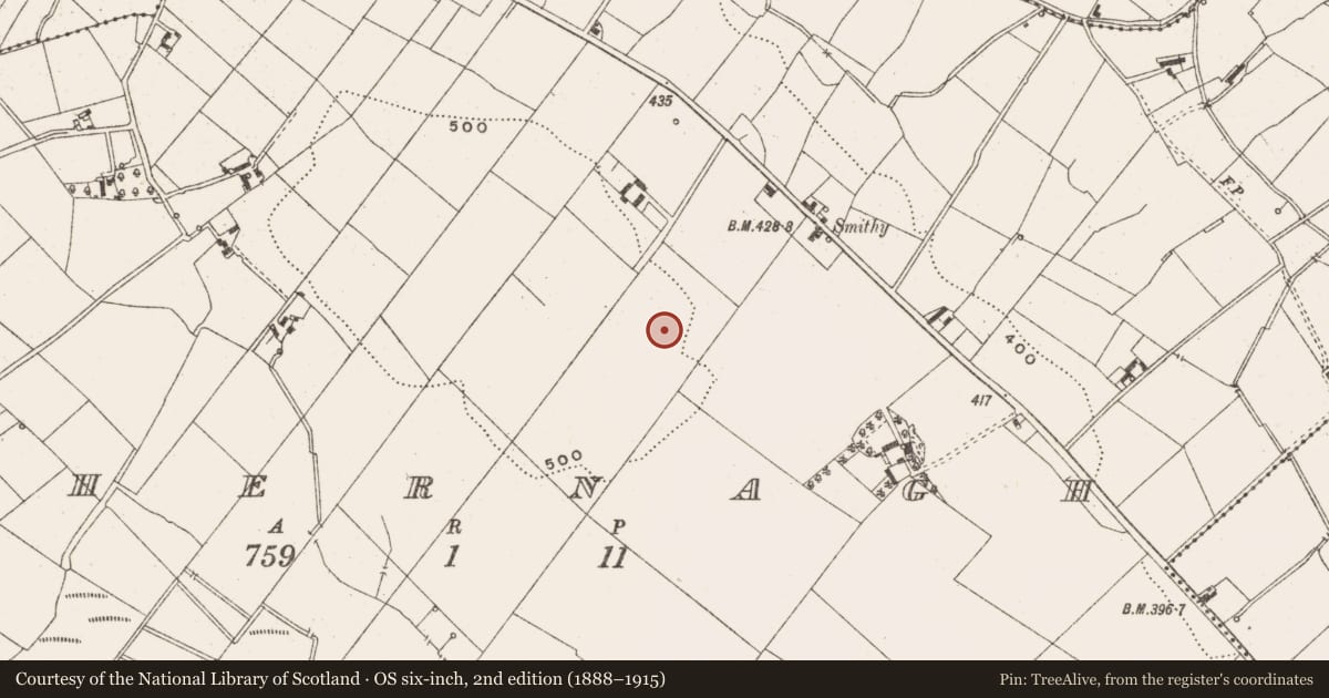 Ordnance Survey six-inch map, 2nd edition (1888–1915) covering the location of Ringfort - unclassified, Behernagh, County Cavan, with a pin at the register's coordinates
