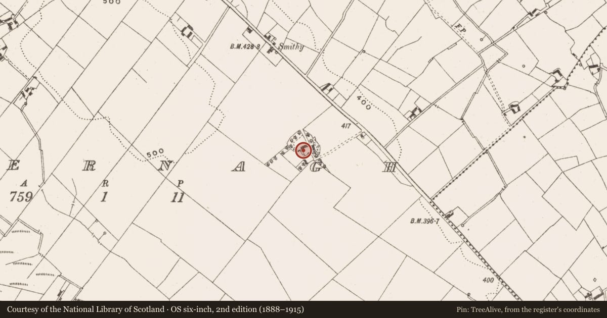 Ordnance Survey six-inch map, 2nd edition (1888–1915) covering the location of Enclosure, Behernagh, County Cavan, with a pin at the register's coordinates