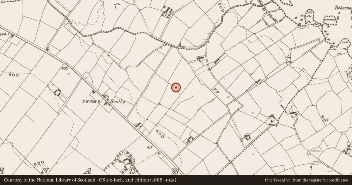 Ordnance Survey six-inch map, 2nd edition (1888–1915) covering the location of Ringfort - cashel, Behernagh, County Cavan, with a pin at the register's coordinates