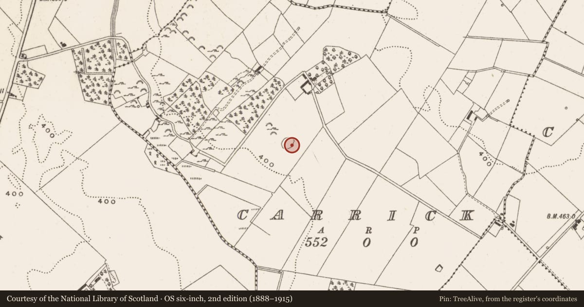Ordnance Survey six-inch map, 2nd edition (1888–1915) covering the location of Ringfort - cashel, Carrick, County Cavan, with a pin at the register's coordinates
