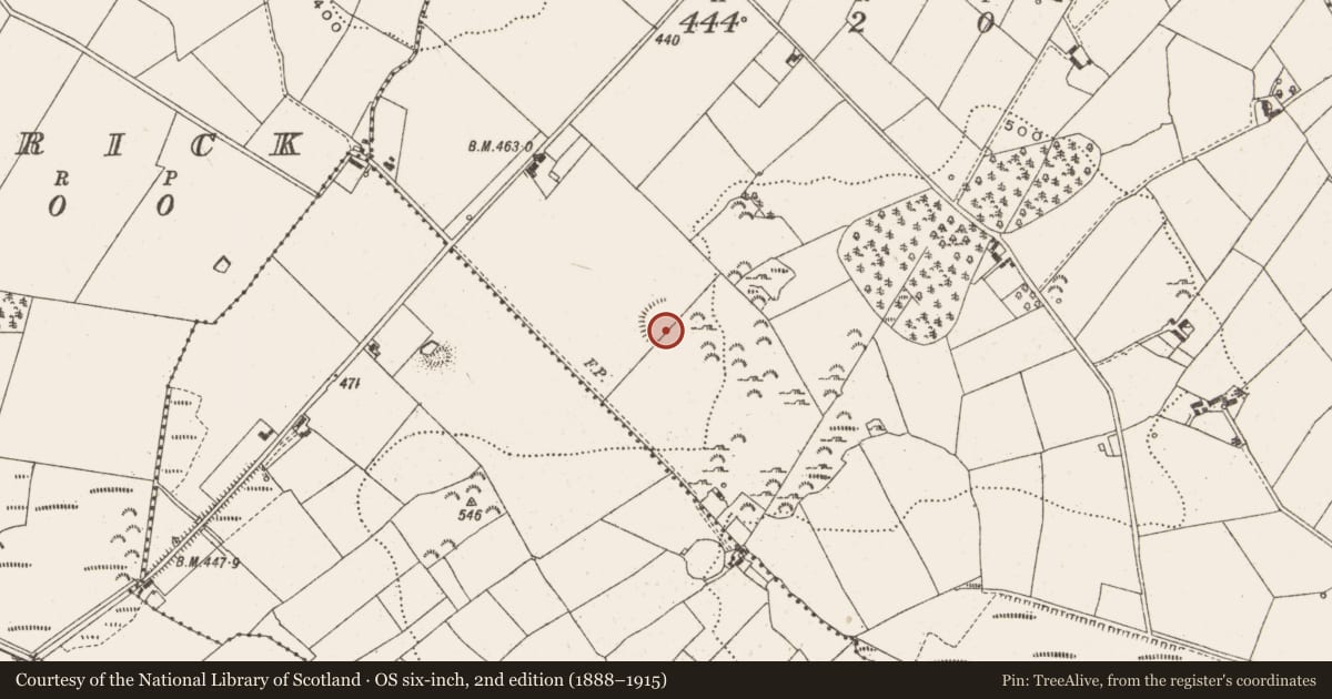 Ordnance Survey six-inch map, 2nd edition (1888–1915) covering the location of Ringfort - rath, Croaghan, County Cavan, with a pin at the register's coordinates