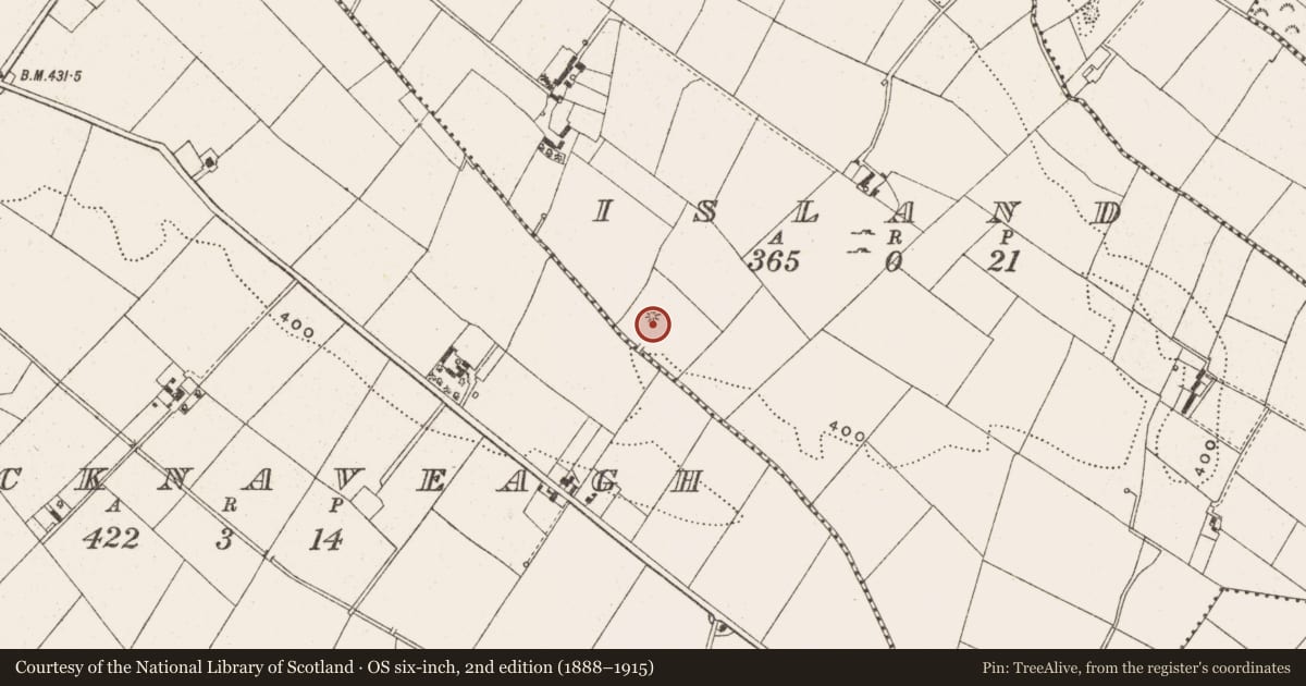 Ordnance Survey six-inch map, 2nd edition (1888–1915) covering the location of Ringfort - unclassified, Island, County Cavan, with a pin at the register's coordinates
