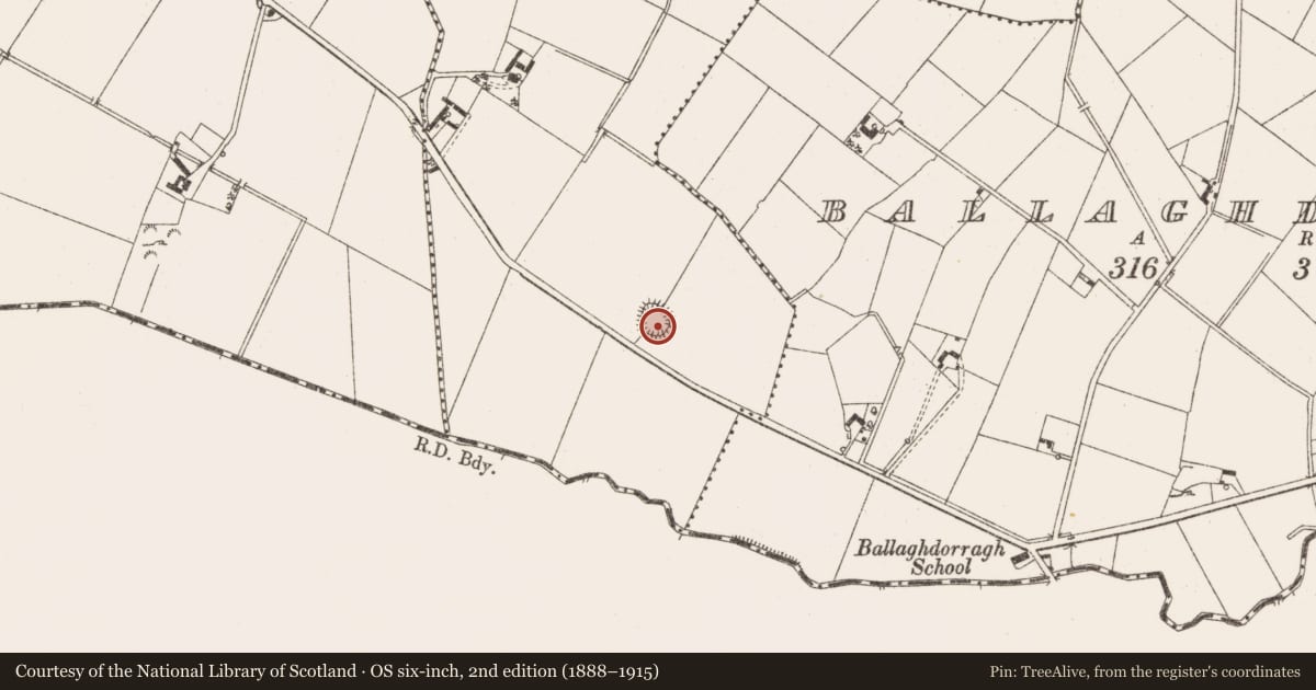Ordnance Survey six-inch map, 2nd edition (1888–1915) covering the location of Ringfort - rath, Island, County Cavan, with a pin at the register's coordinates