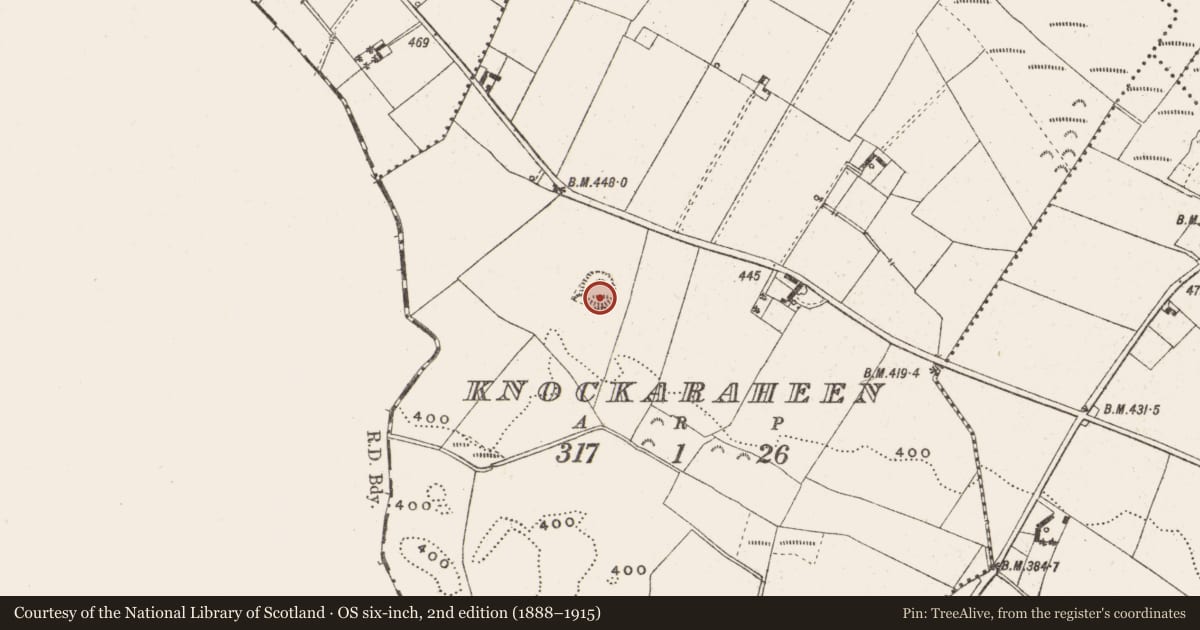 Ordnance Survey six-inch map, 2nd edition (1888–1915) covering the location of Ringfort - cashel, Knockaraheen, County Cavan, with a pin at the register's coordinates
