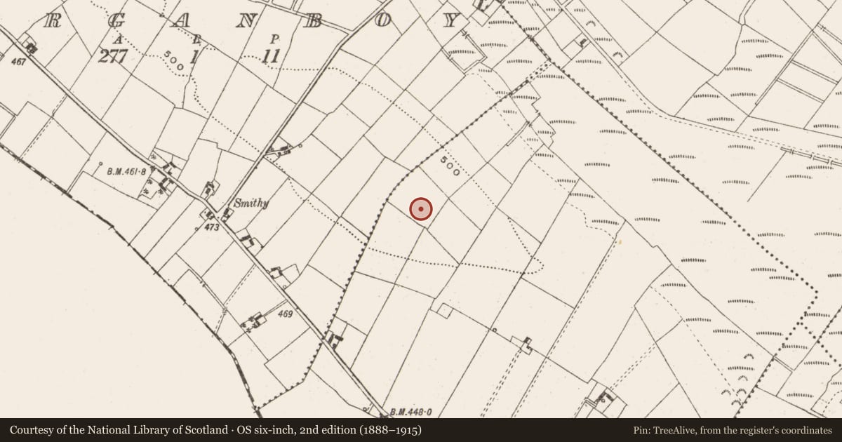 Ordnance Survey six-inch map, 2nd edition (1888–1915) covering the location of Ringfort - unclassified, Knockaraheen, County Cavan, with a pin at the register's coordinates