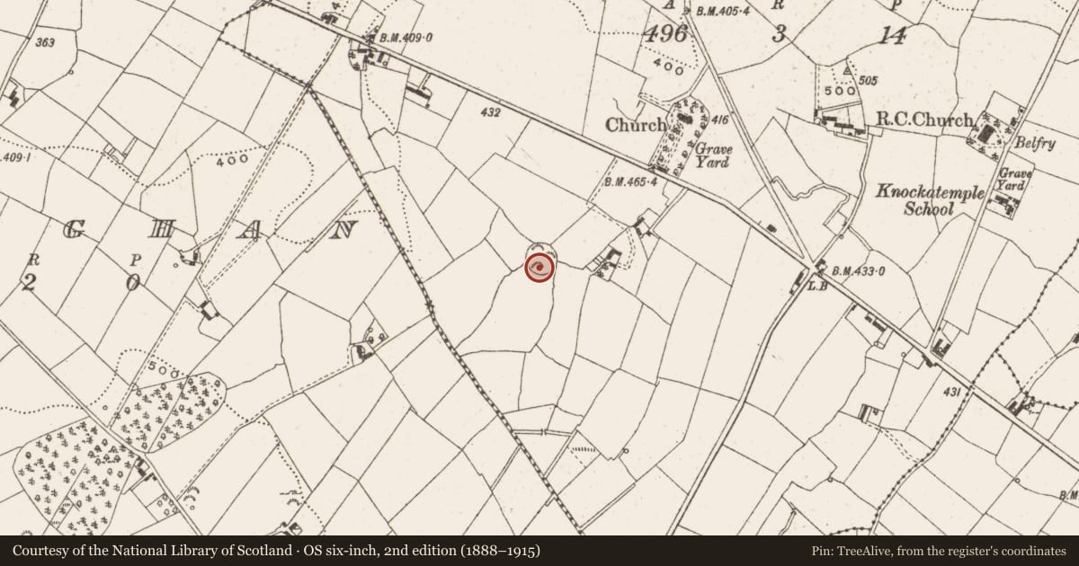 Ordnance Survey six-inch map, 2nd edition (1888–1915) covering the location of Ringfort - cashel, Knockatemple, County Cavan, with a pin at the register's coordinates