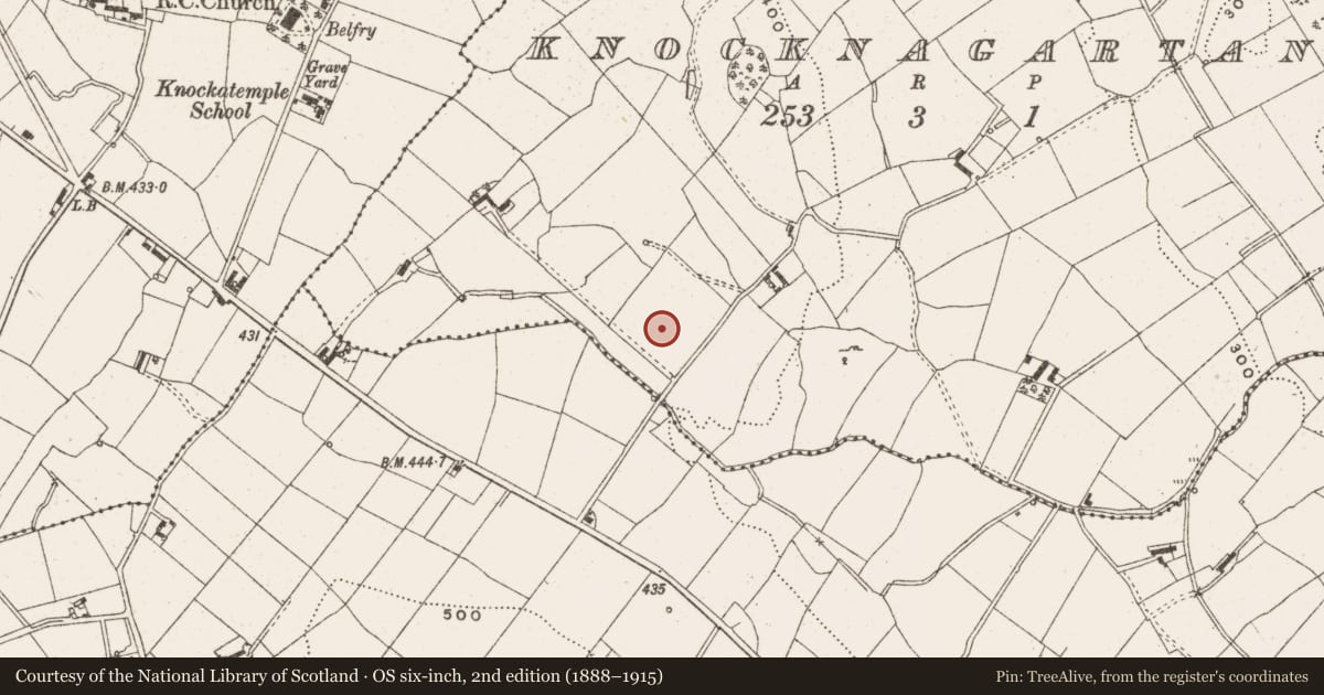 Ordnance Survey six-inch map, 2nd edition (1888–1915) covering the location of Ringfort - rath, Knocknagartan, County Cavan, with a pin at the register's coordinates