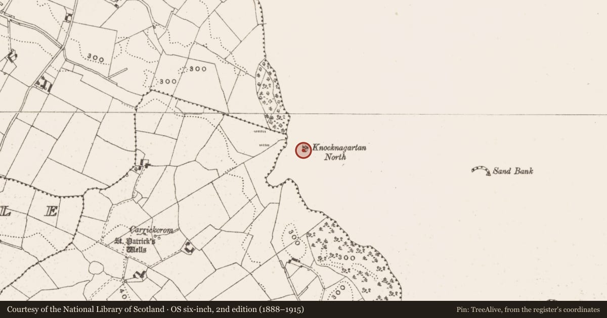 Ordnance Survey six-inch map, 2nd edition (1888–1915) covering the location of Crannog, Knocknagartan, County Cavan, with a pin at the register's coordinates