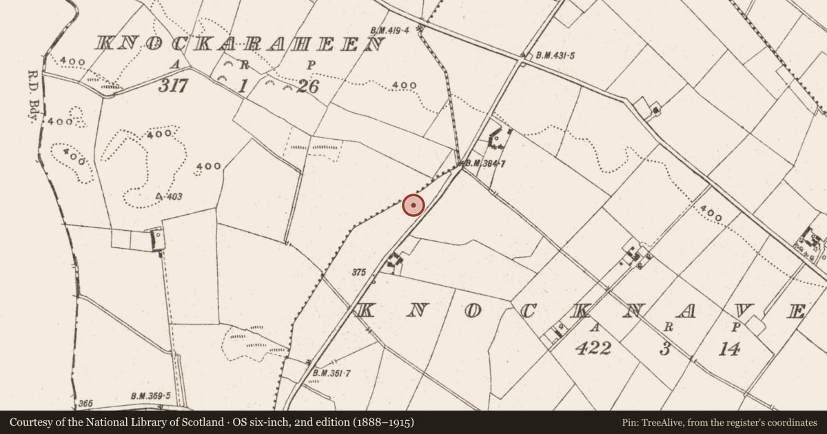 Ordnance Survey six-inch map, 2nd edition (1888–1915) covering the location of Castle - unclassified, Knocknaveagh, County Cavan, with a pin at the register's coordinates