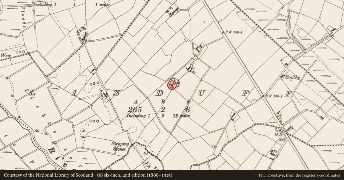 Ordnance Survey six-inch map, 2nd edition (1888–1915) covering the location of Ringfort - rath, Lisduff, County Cavan, with a pin at the register's coordinates