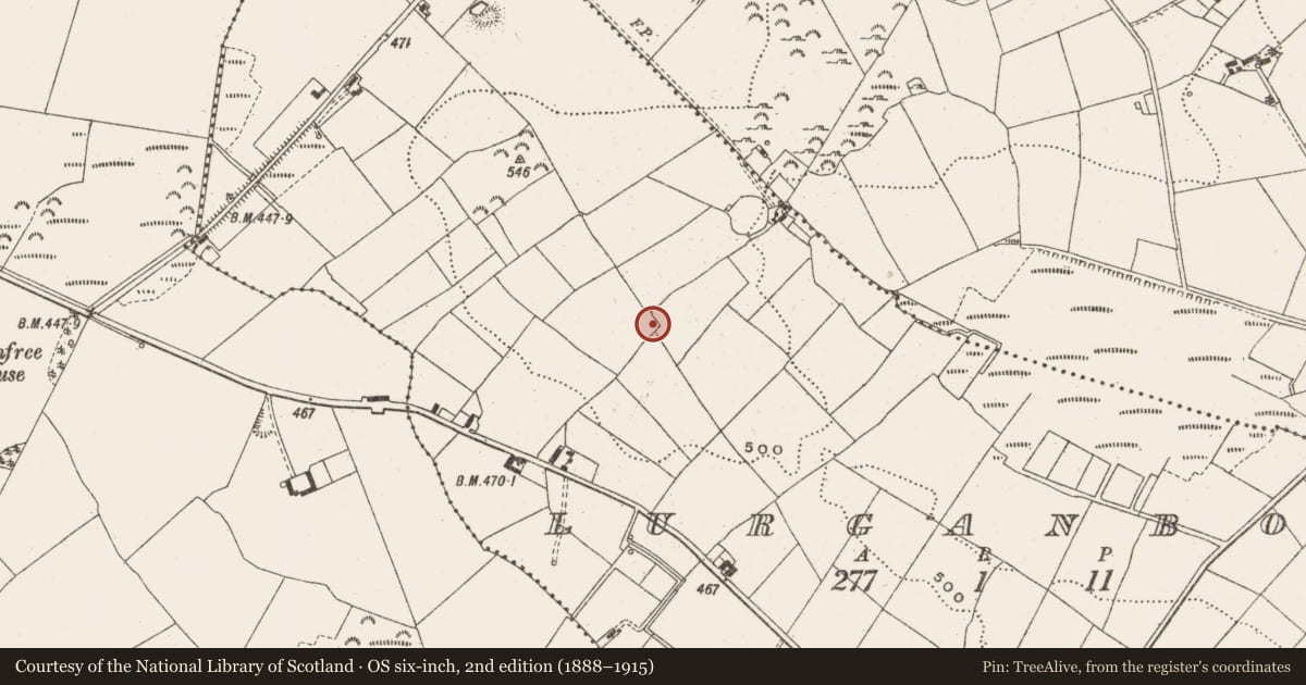 Ordnance Survey six-inch map, 2nd edition (1888–1915) covering the location of Ringfort - unclassified, Lurganboy, County Cavan, with a pin at the register's coordinates