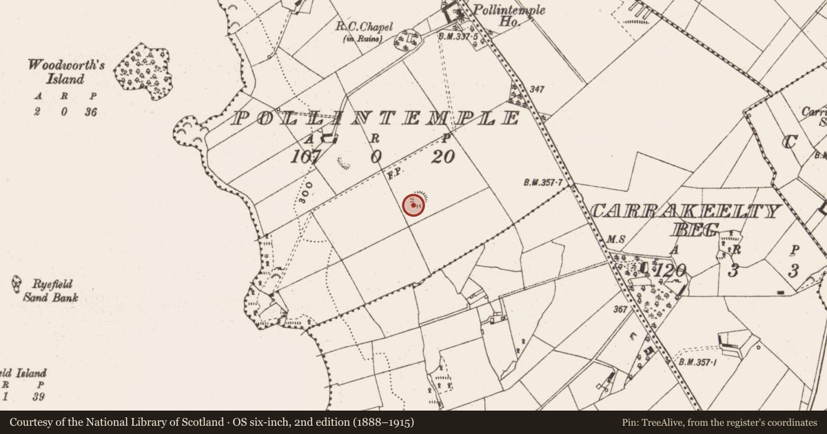 Ordnance Survey six-inch map, 2nd edition (1888–1915) covering the location of Ringfort - rath, Pollintemple, County Cavan, with a pin at the register's coordinates