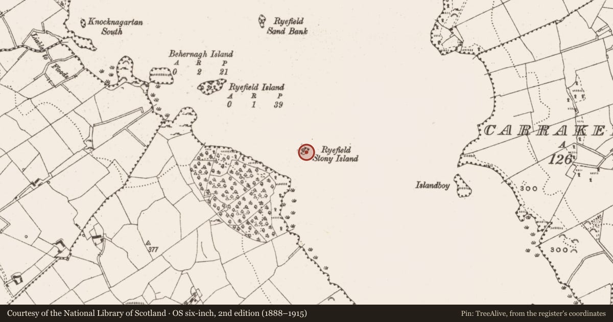 Ordnance Survey six-inch map, 2nd edition (1888–1915) covering the location of Crannog, Ryefield, County Cavan, with a pin at the register's coordinates