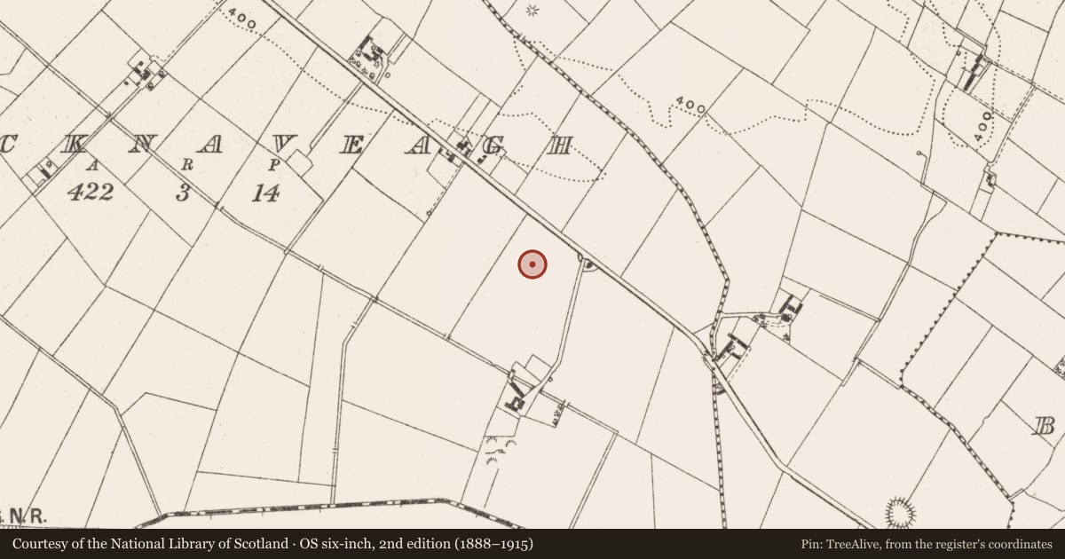 Ordnance Survey six-inch map, 2nd edition (1888–1915) covering the location of Ringfort - rath, Knocknaveagh, County Cavan, with a pin at the register's coordinates