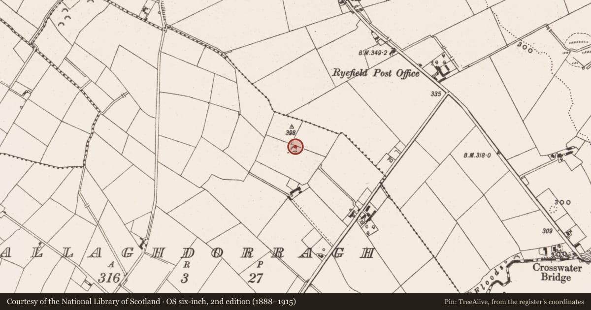 Ordnance Survey six-inch map, 2nd edition (1888–1915) covering the location of Rock scribing - folk art, Ballaghdorragh, County Cavan, with a pin at the register's coordinates