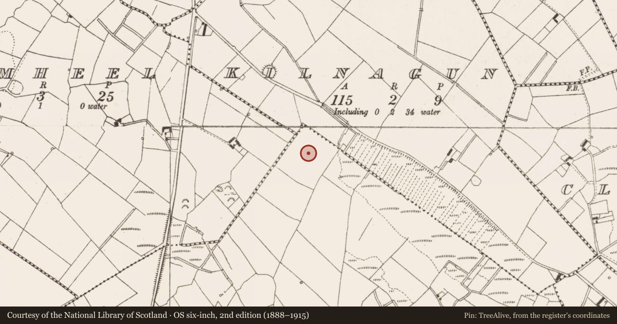 Ordnance Survey six-inch map, 2nd edition (1888–1915) covering the location of Ringfort - unclassified, Carrigabruse, County Cavan, with a pin at the register's coordinates