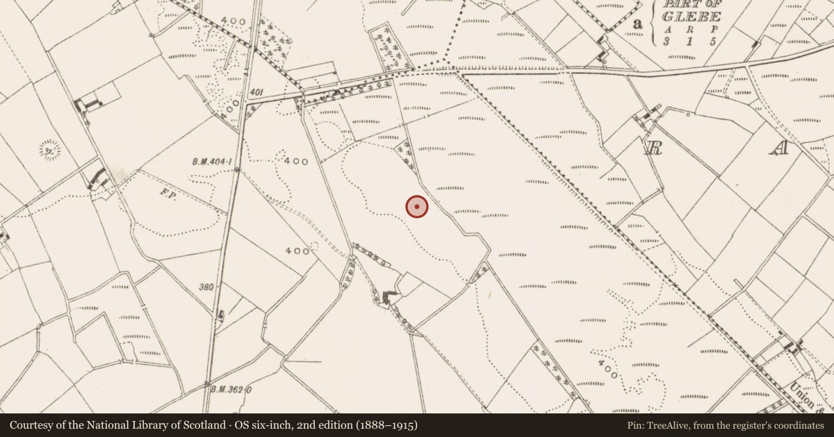 Ordnance Survey six-inch map, 2nd edition (1888–1915) covering the location of Ringfort - rath, Cloghbally Upper, County Cavan, with a pin at the register's coordinates