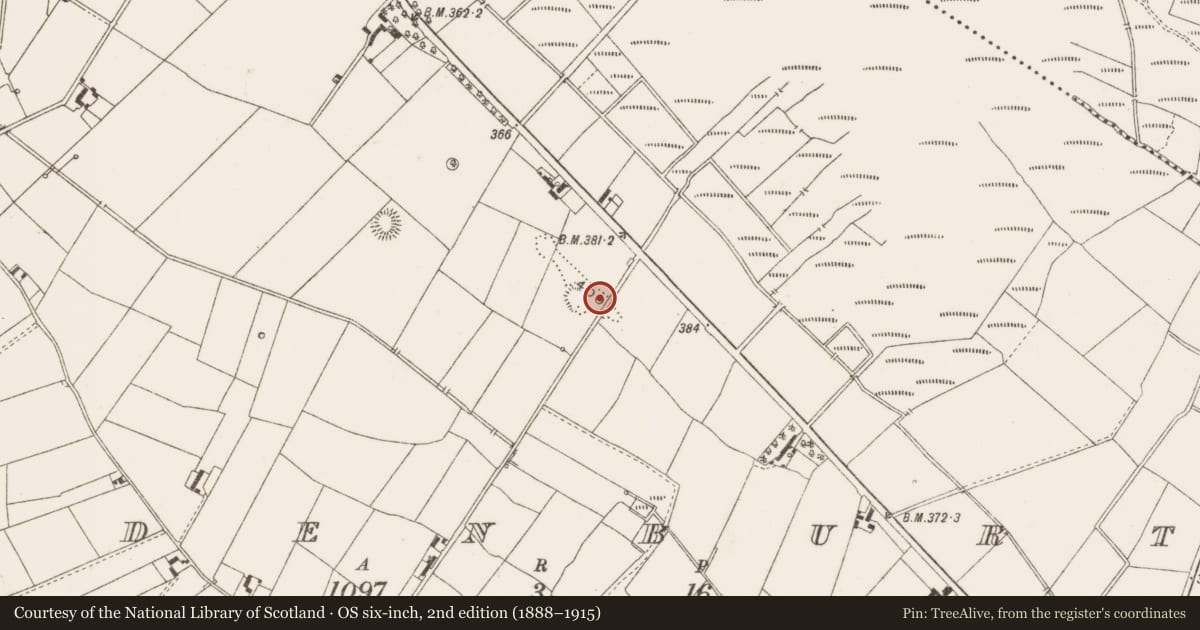 Ordnance Survey six-inch map, 2nd edition (1888–1915) covering the location of Ringfort - rath, Edenburt, County Cavan, with a pin at the register's coordinates