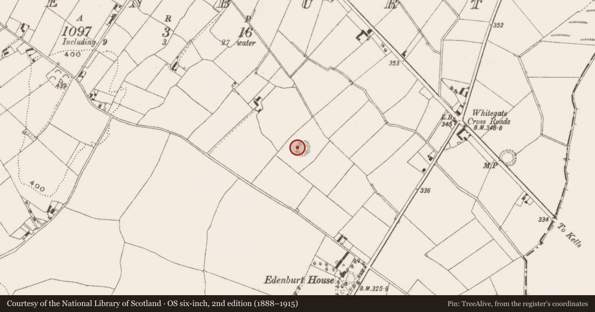 Ordnance Survey six-inch map, 2nd edition (1888–1915) covering the location of Ringfort - rath, Edenburt, County Cavan, with a pin at the register's coordinates