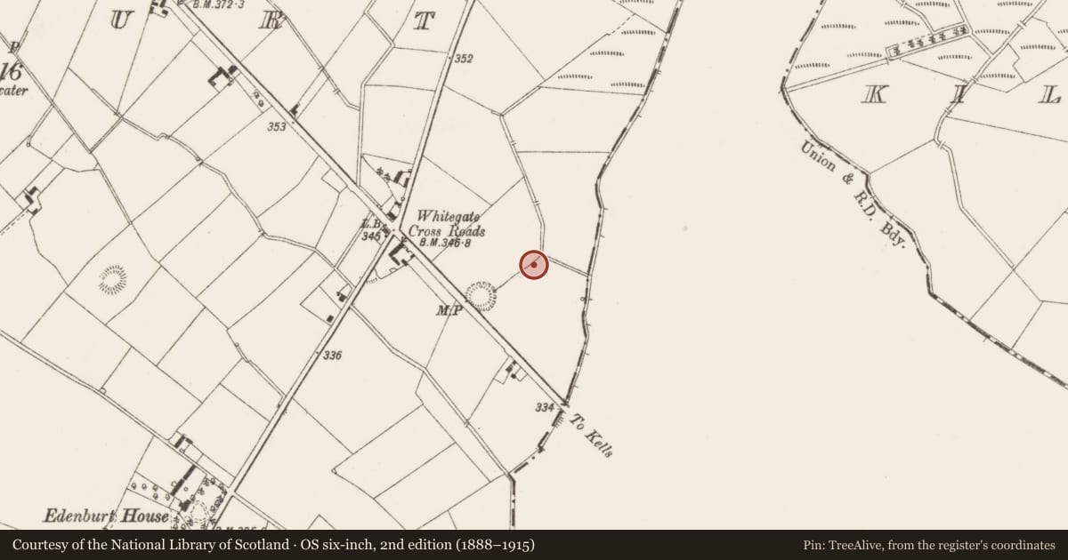 Ordnance Survey six-inch map, 2nd edition (1888–1915) covering the location of Mound, Edenburt, County Cavan, with a pin at the register's coordinates