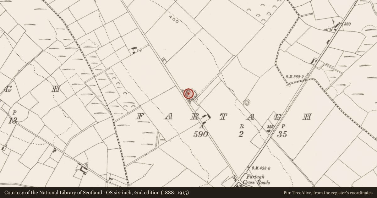 Ordnance Survey six-inch map, 2nd edition (1888–1915) covering the location of Ringfort - rath, Fartagh, County Cavan, with a pin at the register's coordinates