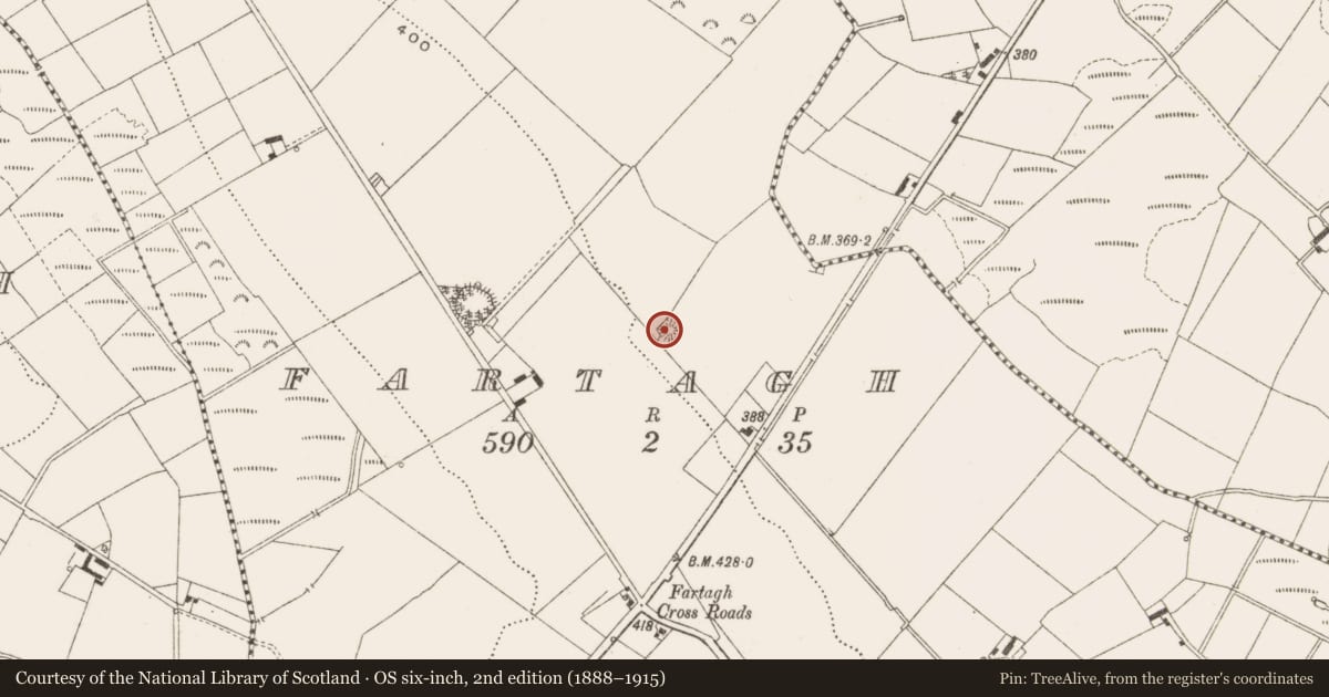 Ordnance Survey six-inch map, 2nd edition (1888–1915) covering the location of Ringfort - cashel, Fartagh, County Cavan, with a pin at the register's coordinates
