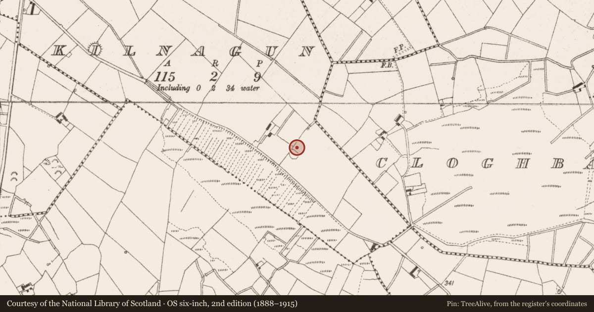 Ordnance Survey six-inch map, 2nd edition (1888–1915) covering the location of Ringfort - rath, Kilnagun, County Cavan, with a pin at the register's coordinates