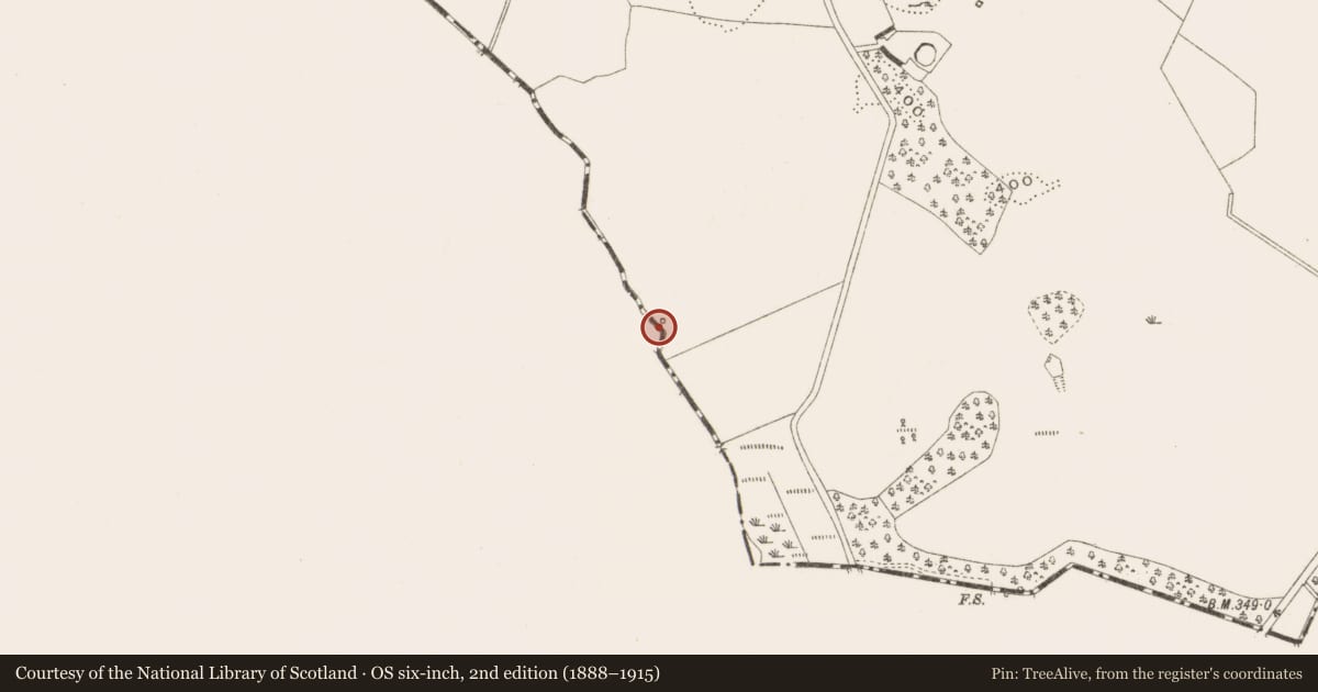 Ordnance Survey six-inch map, 2nd edition (1888–1915) covering the location of Well, Leitrim, County Cavan, with a pin at the register's coordinates