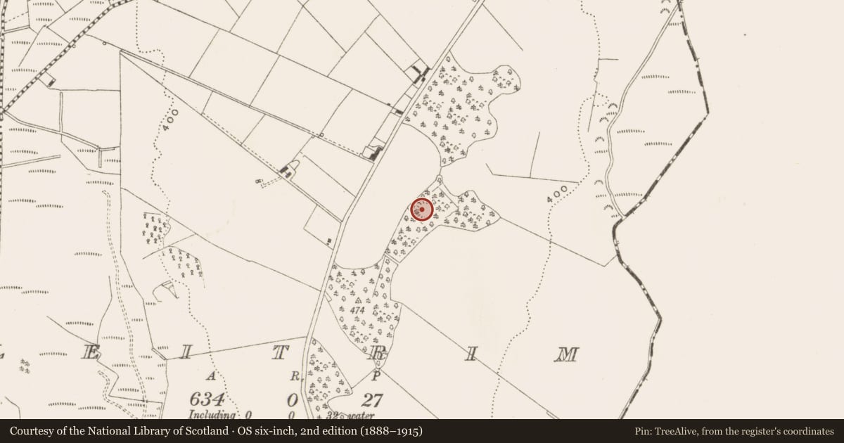 Ordnance Survey six-inch map, 2nd edition (1888–1915) covering the location of Ringfort - rath, Leitrim, County Cavan, with a pin at the register's coordinates