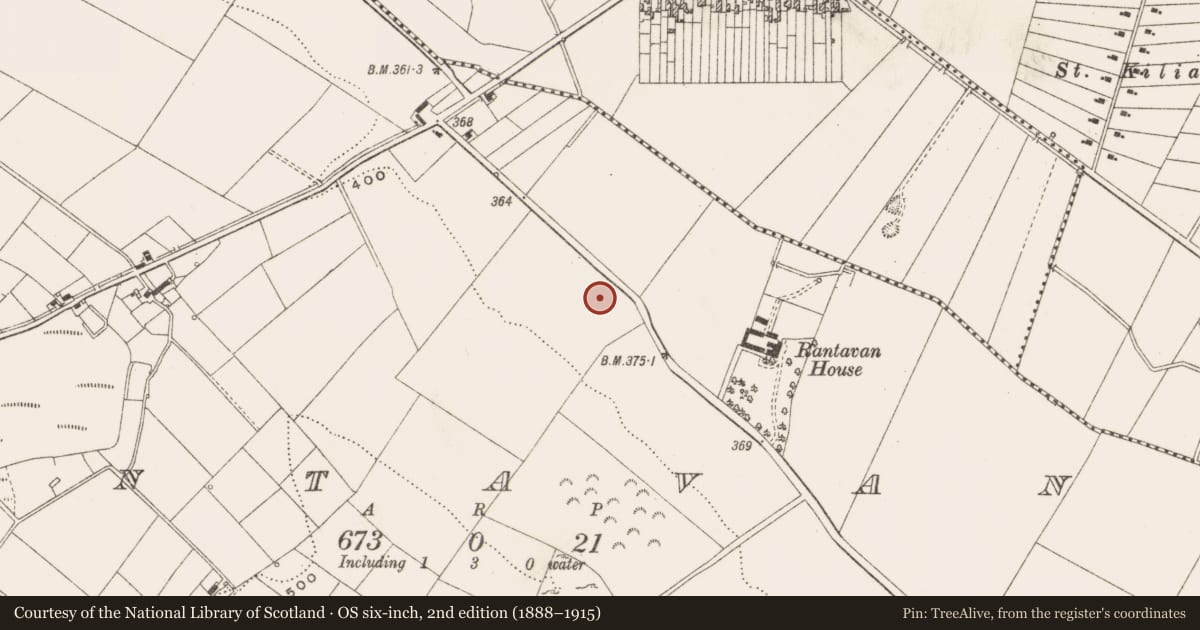 Ordnance Survey six-inch map, 2nd edition (1888–1915) covering the location of Graveyard, Rantavan, County Cavan, with a pin at the register's coordinates