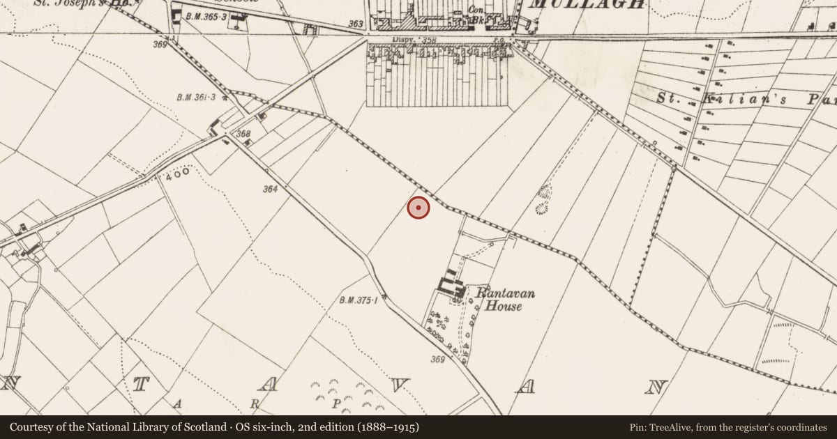 Ordnance Survey six-inch map, 2nd edition (1888–1915) covering the location of Well, Rantavan, County Cavan, with a pin at the register's coordinates