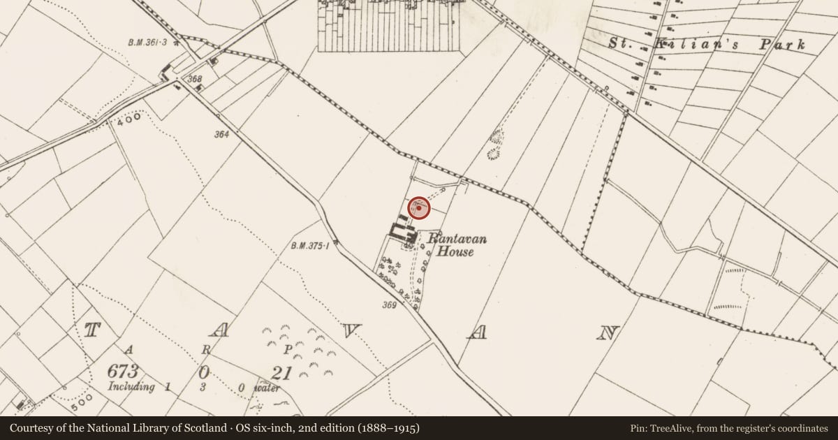 Ordnance Survey six-inch map, 2nd edition (1888–1915) covering the location of Architectural fragment, Rantavan, County Cavan, with a pin at the register's coordinates