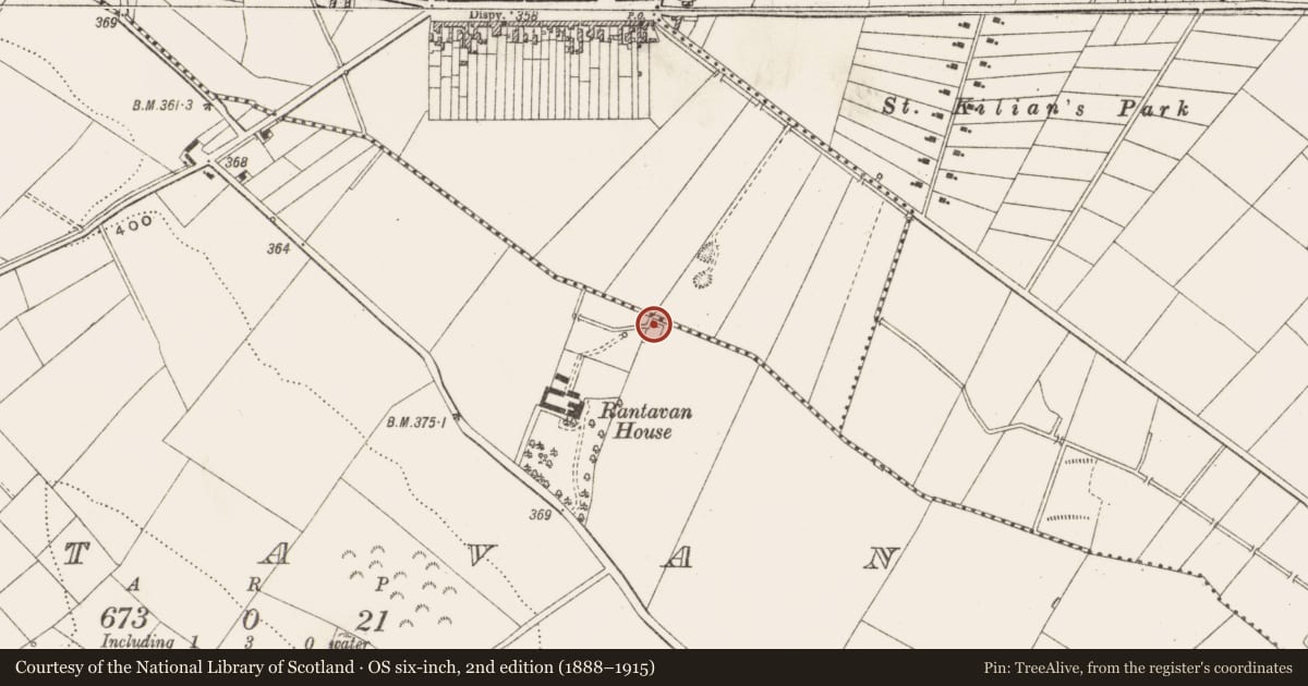 Ordnance Survey six-inch map, 2nd edition (1888–1915) covering the location of Castle - unclassified, Rantavan, County Cavan, with a pin at the register's coordinates