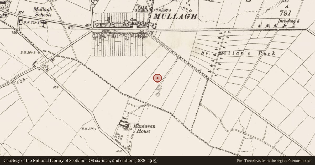 Ordnance Survey six-inch map, 2nd edition (1888–1915) covering the location of Burial ground, Mullagh, County Cavan, with a pin at the register's coordinates
