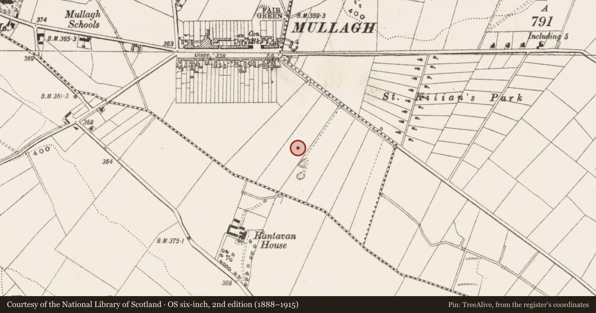 Ordnance Survey six-inch map, 2nd edition (1888–1915) covering the location of Burial ground, Mullagh, County Cavan, with a pin at the register's coordinates