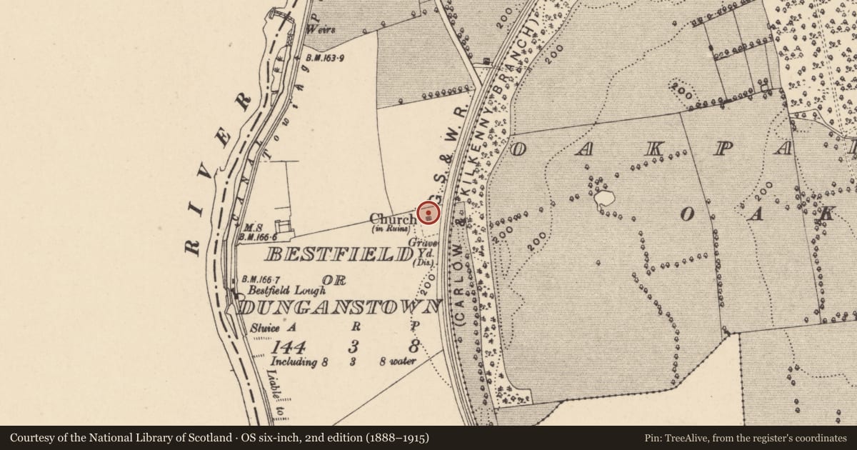 Ordnance Survey six-inch map, 2nd edition (1888–1915) covering the location of Church, Bestfield Or Dunganstown, County Carlow, with a pin at the register's coordinates