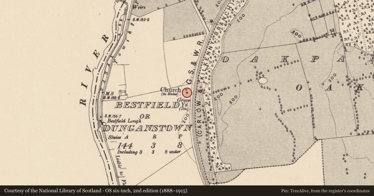 Ordnance Survey six-inch map, 2nd edition (1888–1915) covering the location of Graveyard, Bestfield Or Dunganstown, County Carlow, with a pin at the register's coordinates