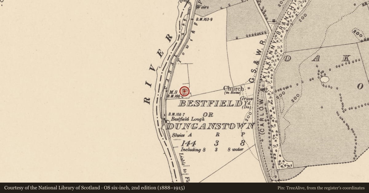 Ordnance Survey six-inch map, 2nd edition (1888–1915) covering the location of Castle - unclassified, Bestfield Or Dunganstown, County Carlow, with a pin at the register's coordinates