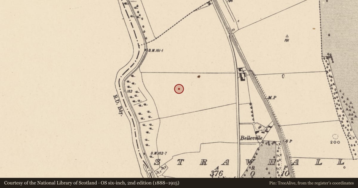 Ordnance Survey six-inch map, 2nd edition (1888–1915) covering the location of Flat cemetery, Strawhall, County Carlow, with a pin at the register's coordinates