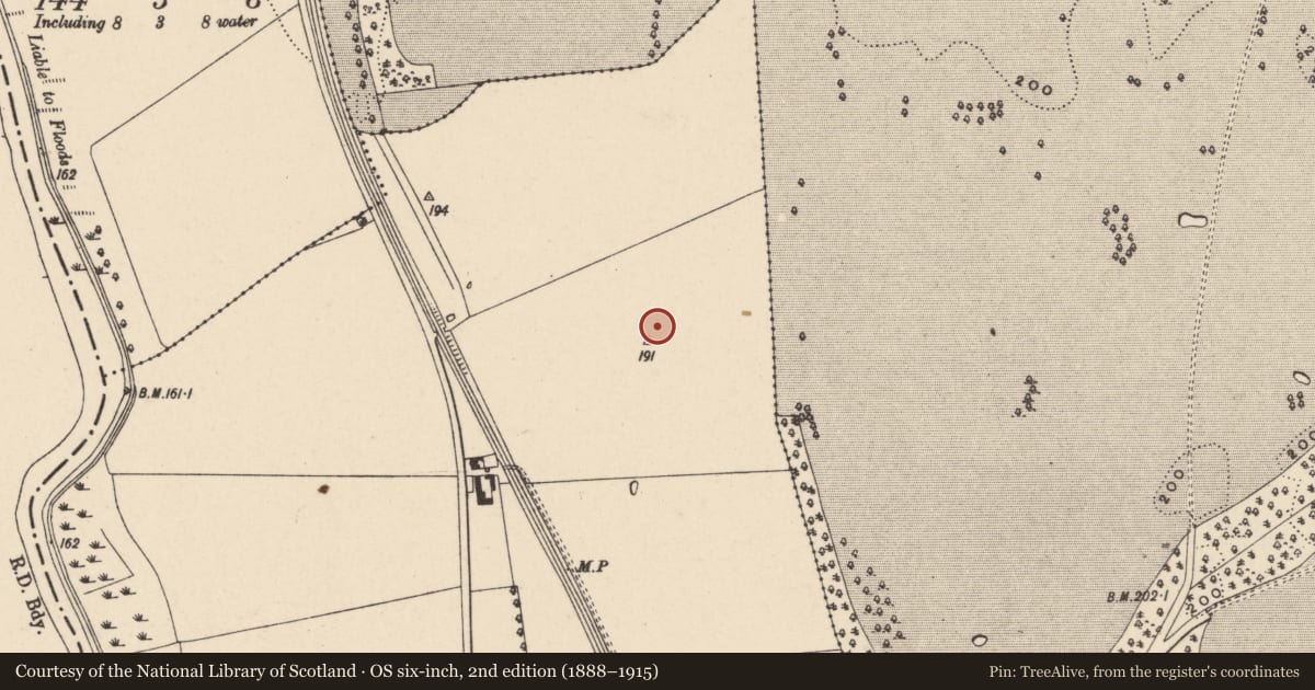 Ordnance Survey six-inch map, 2nd edition (1888–1915) covering the location of Ring-ditch, Strawhall, County Carlow, with a pin at the register's coordinates