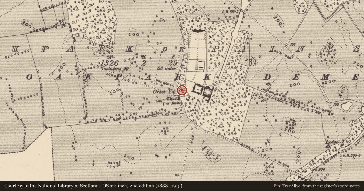 Ordnance Survey six-inch map, 2nd edition (1888–1915) covering the location of Church, Oakpark Or Painestown, County Carlow, with a pin at the register's coordinates