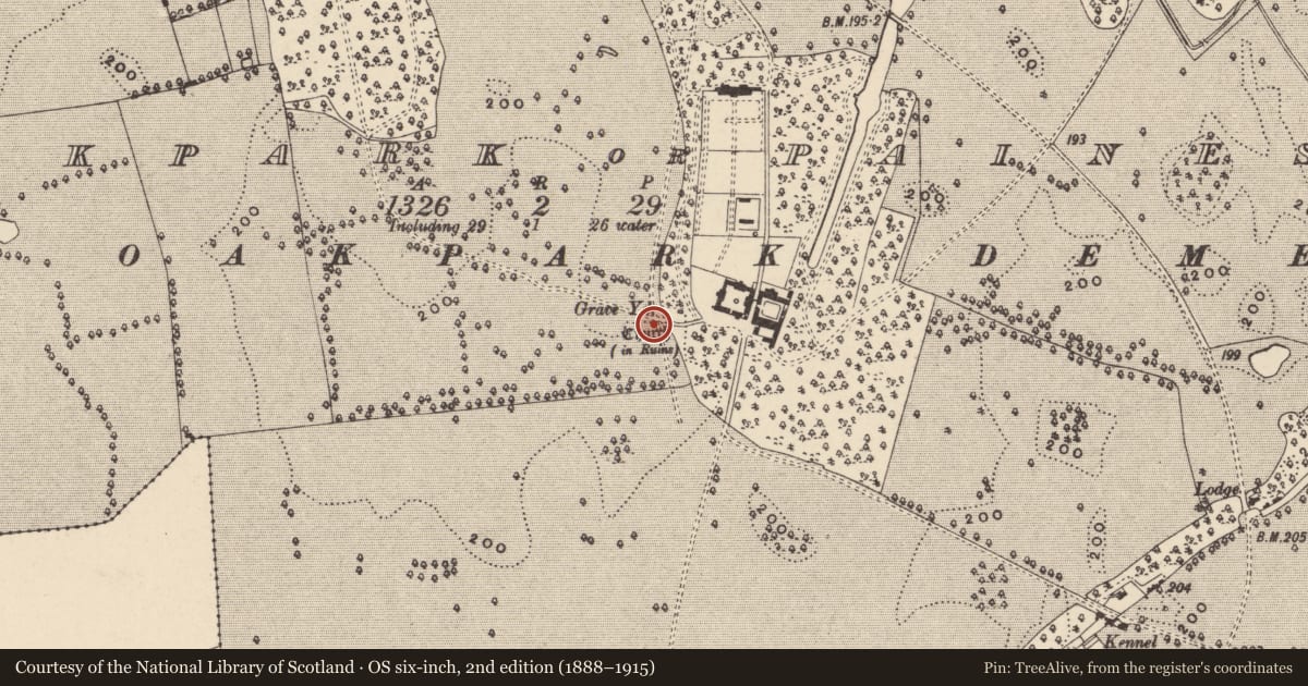Ordnance Survey six-inch map, 2nd edition (1888–1915) covering the location of Graveyard, Oakpark Or Painestown, County Carlow, with a pin at the register's coordinates